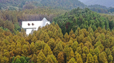 新華全媒+丨重慶南川：農旅融合助推鄉村振興