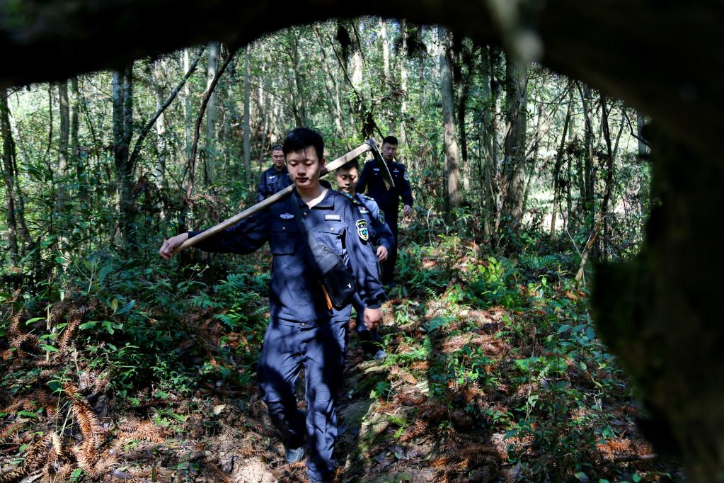 福建武夷山：國家公園守護人